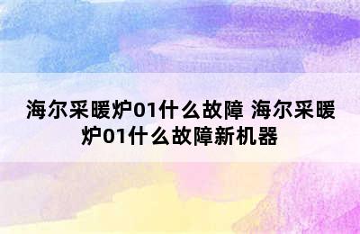 海尔采暖炉01什么故障 海尔采暖炉01什么故障新机器